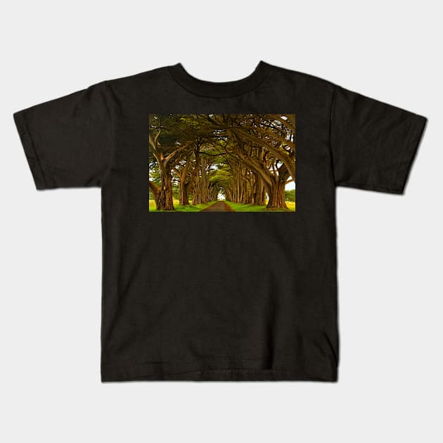 Marin County Cypres Tunnel Kids T-Shirt by AdamJewell